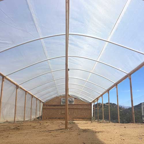 Greenhouse Plastic - Medium-Reinforced Grade