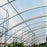 Greenhouse Plastic Film