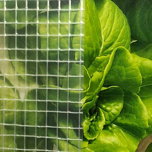 Greenhouse Plastic - Heavy-Reinforced Grade