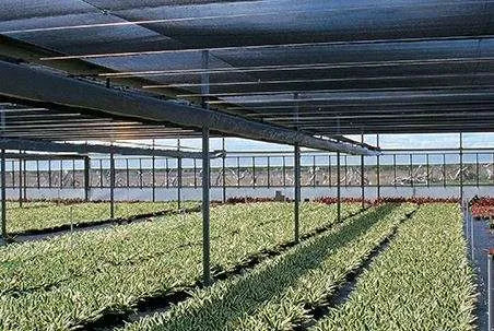 White Shade Cloth For Greenhouse